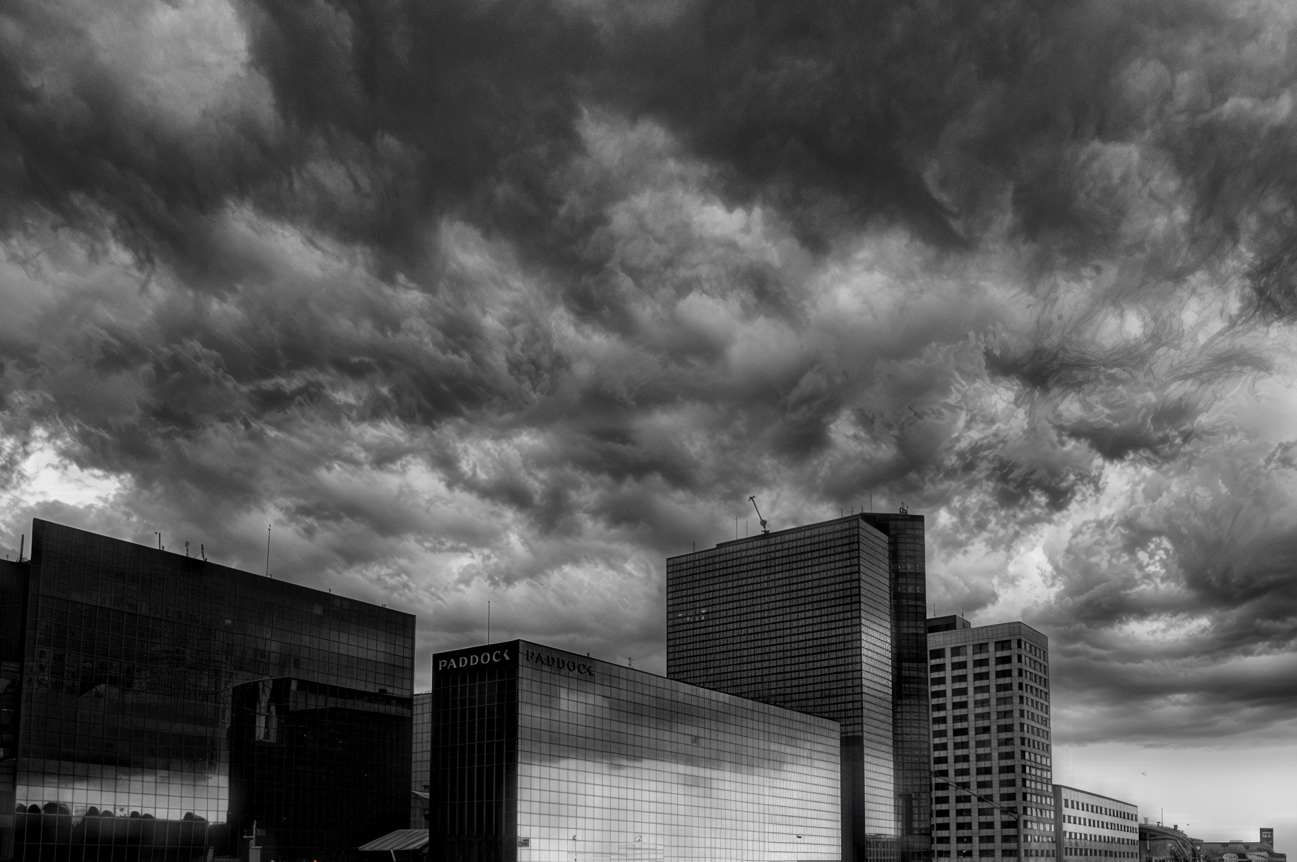 Manel Garcia. PADDOCK