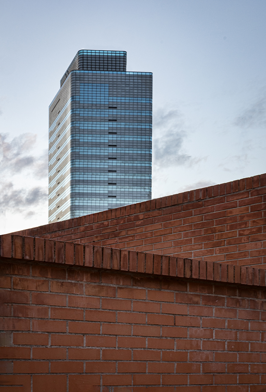 Rosa Colomé. TORRE MILLENIUM