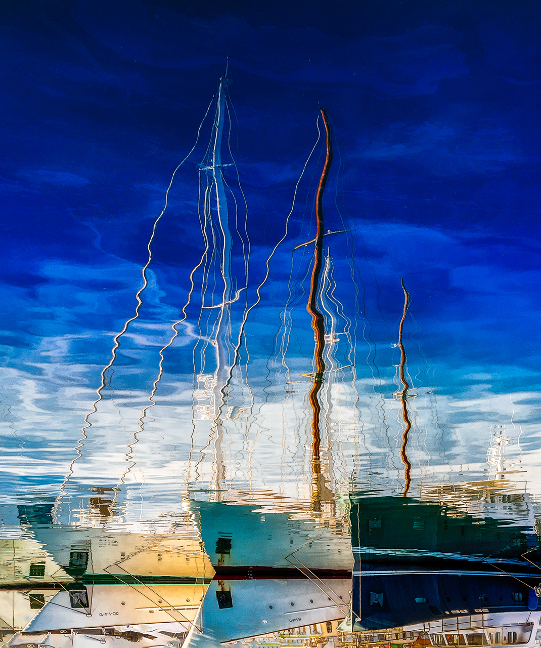 Jaume Millan. PALS-SECS