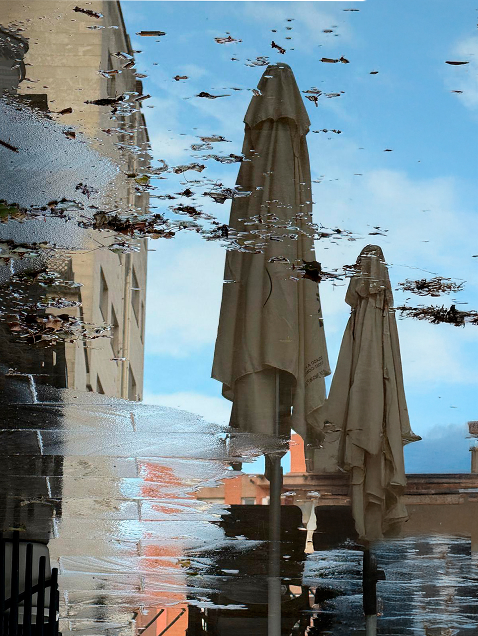 Lluis Carazo.PARAPLUIE