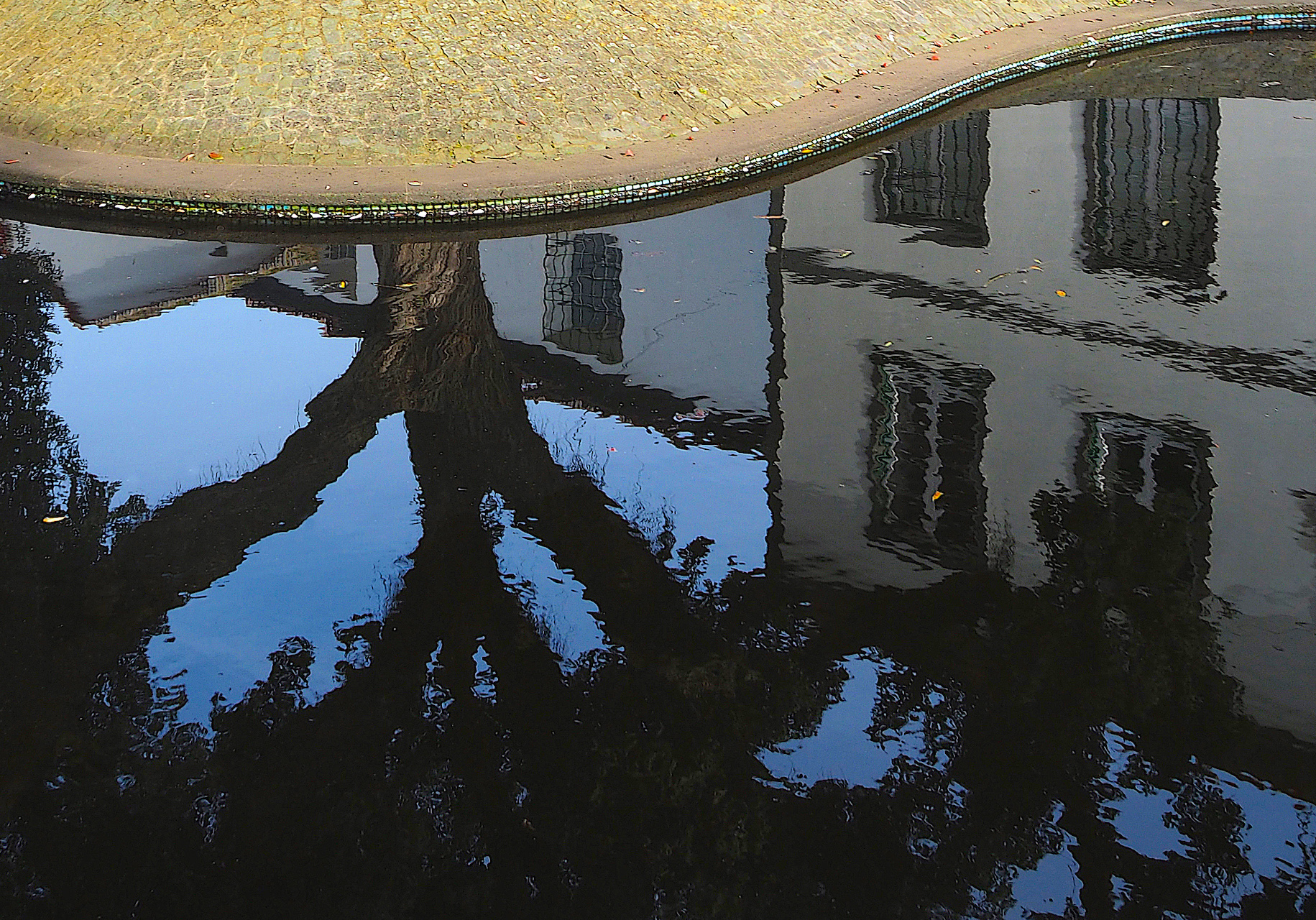 Mercè Casadellà. ESTANY URBÀ