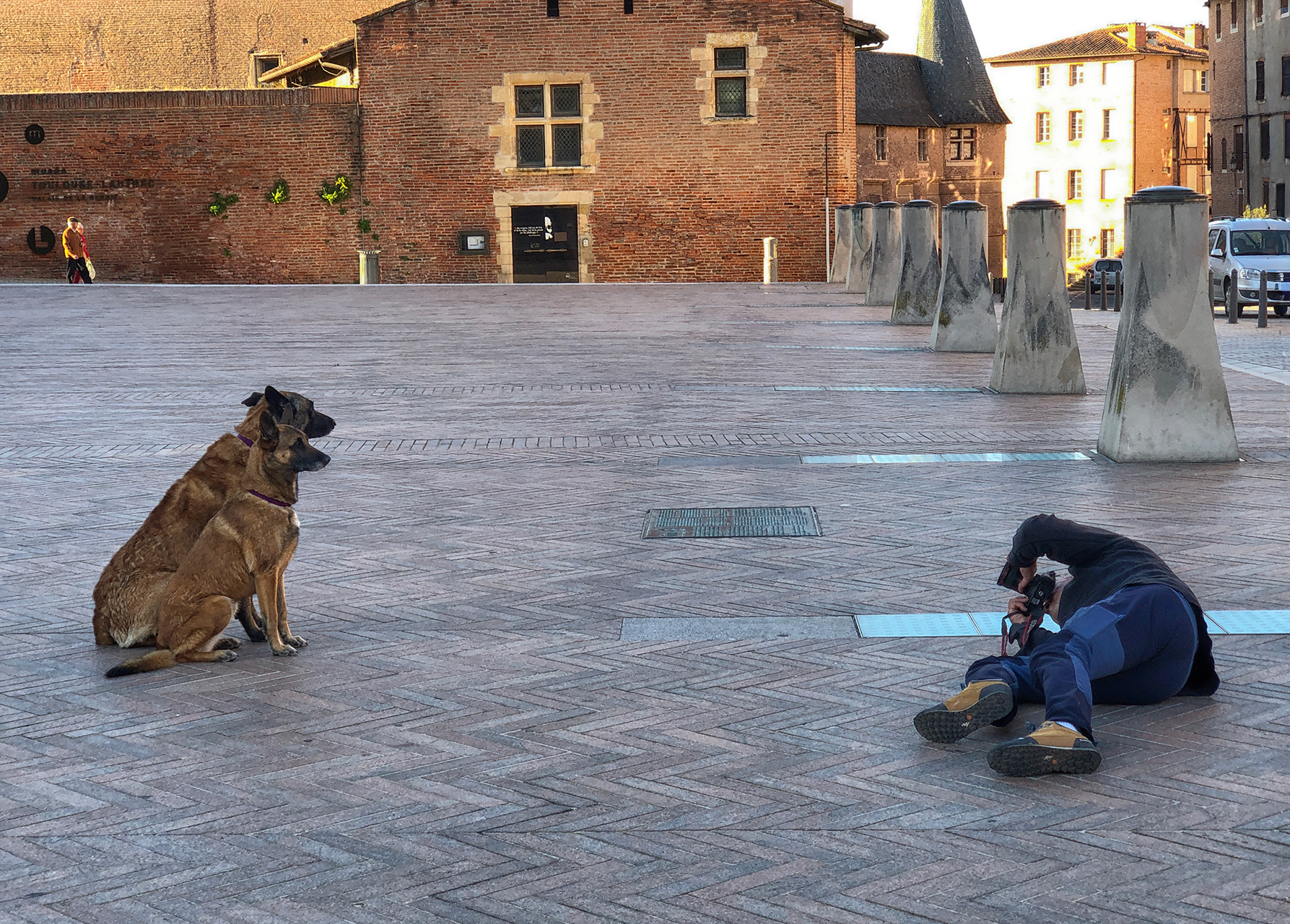 Neus Montserrat. OBEDIÈNCIA