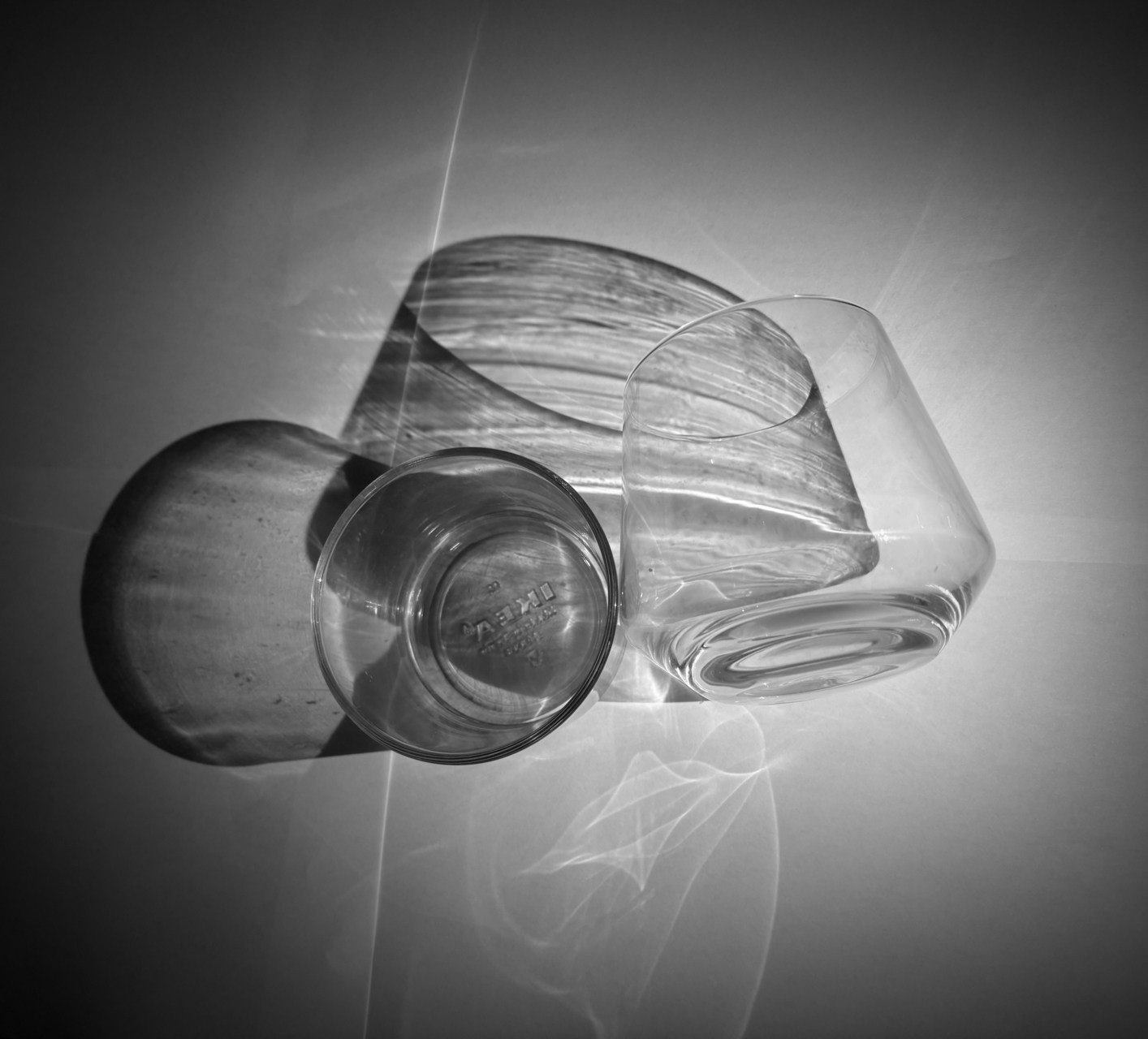 Neus Montserrat. VIDRE