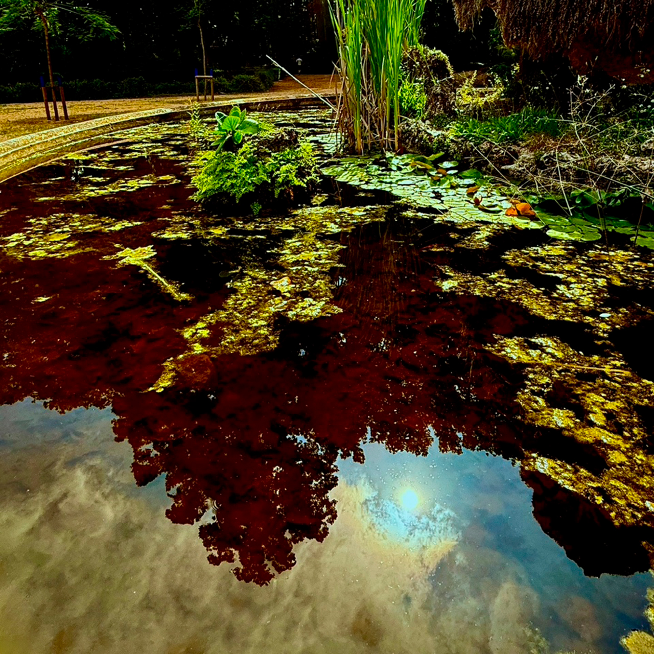 Josep-Mòdol.-LLAC-2